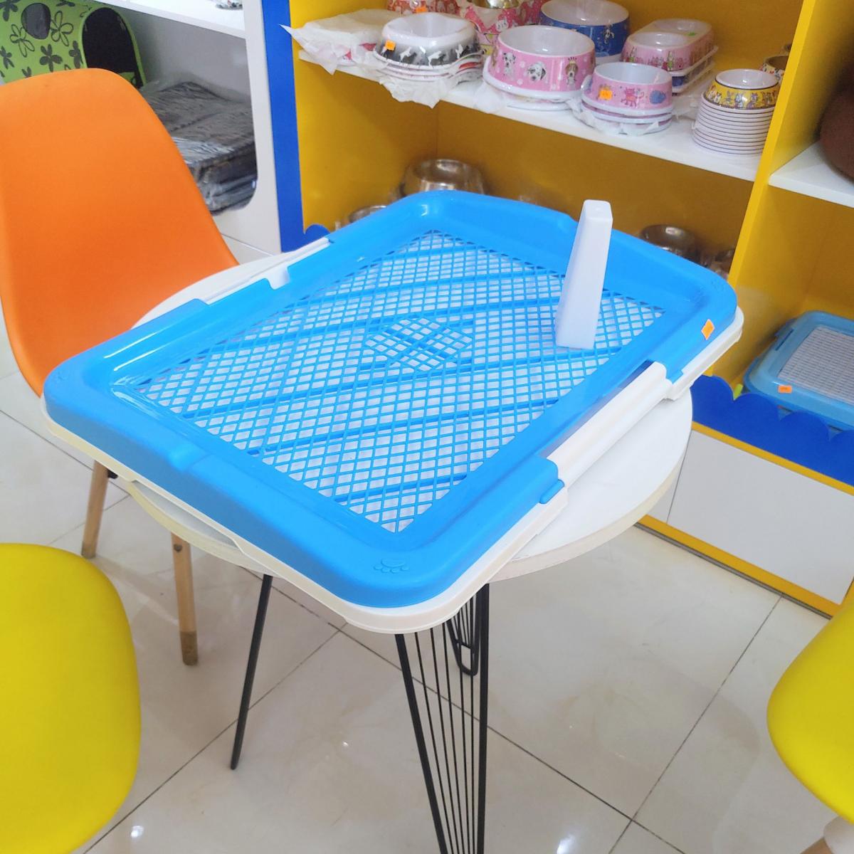 Cún đi vệ sinh không bị ướt chân