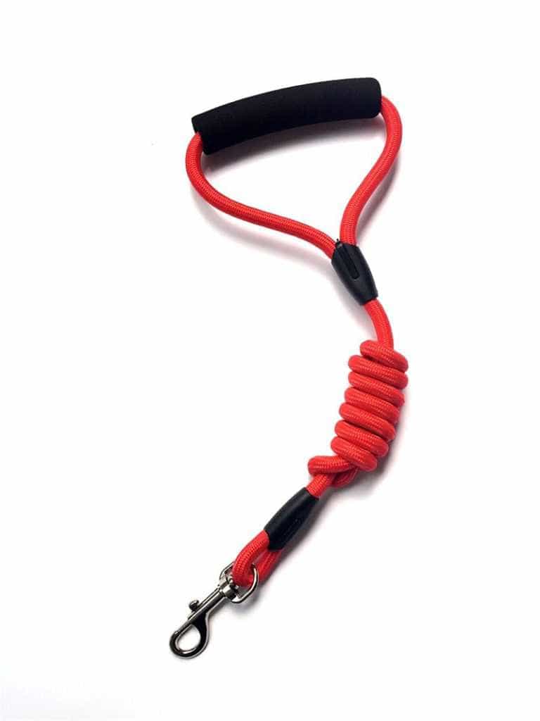Dây Dắt Nylon