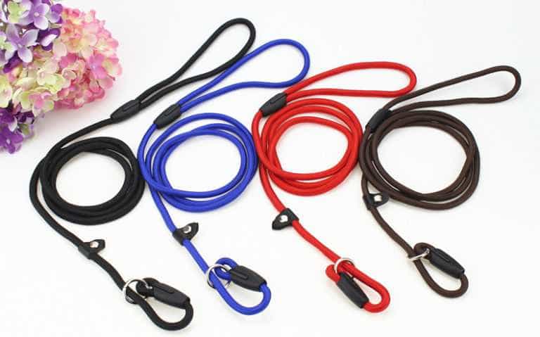 Dây Dắt Trơn Nhiều Màu