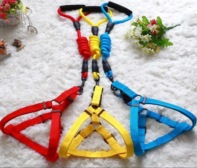 Dây Dắt Nhiều Màu