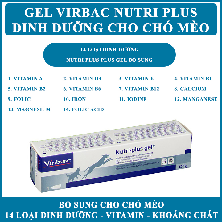 Bổ sung gel dinh dưỡng cho au88