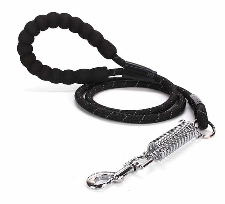 Dây Dắt Trợ Lực