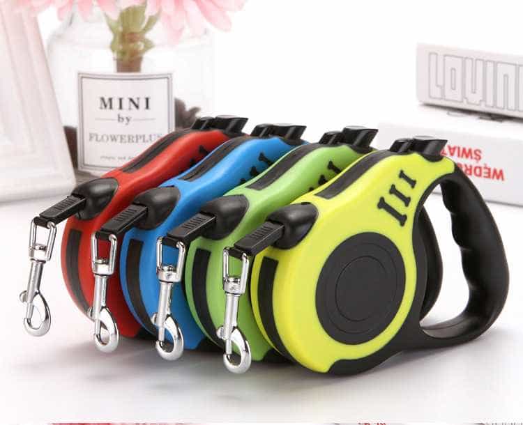 Dây Dắt Tự Dộng