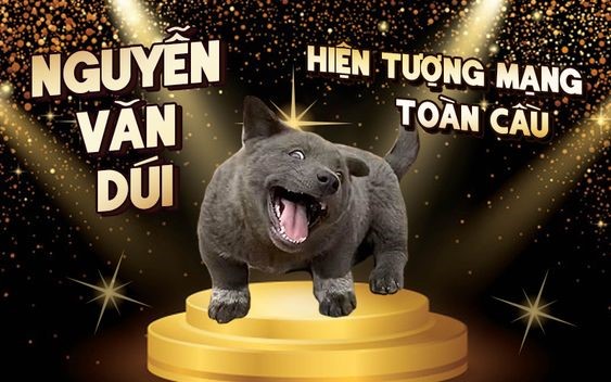 chó dúi là giống chó gì