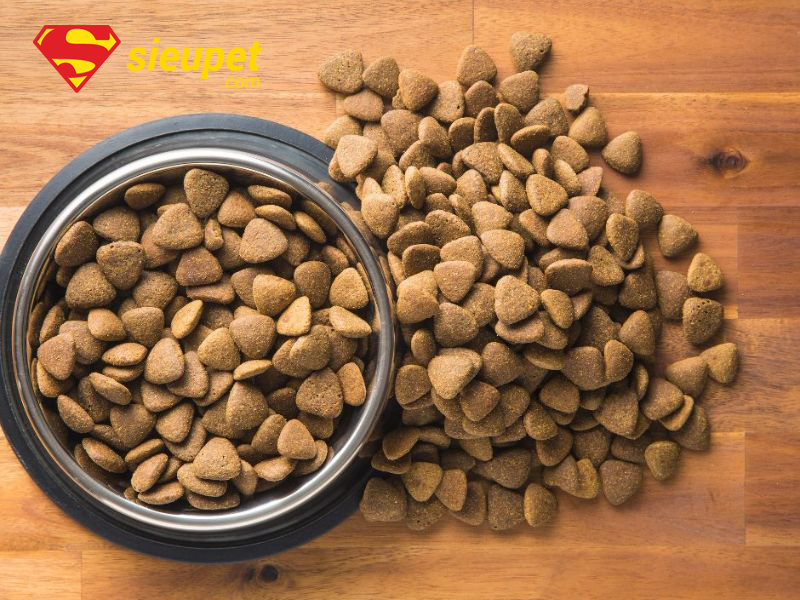 Chó au88 khỏe mạnh và nhu cầu dinh dưỡng