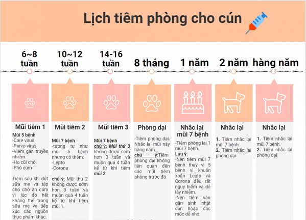 Cho chó au888 casino con ăn hoàn toàn bằng sữa mẹ trong 1 tháng đầu tiên