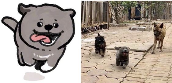 chó dúi vui vẻ