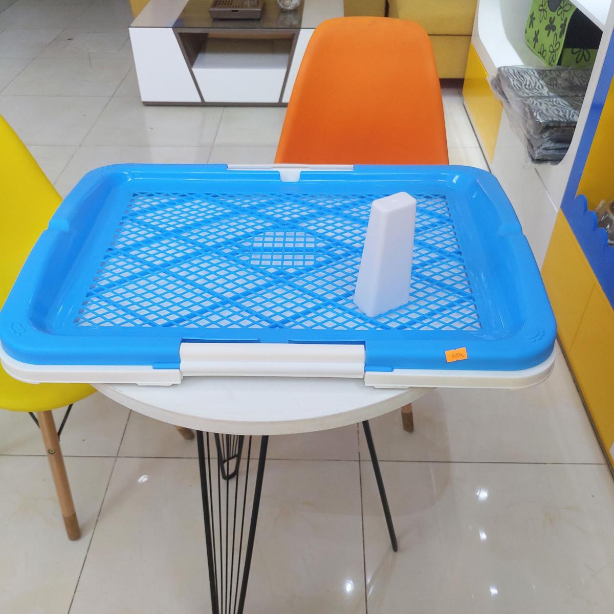 Khay vệ sinh màu xanh