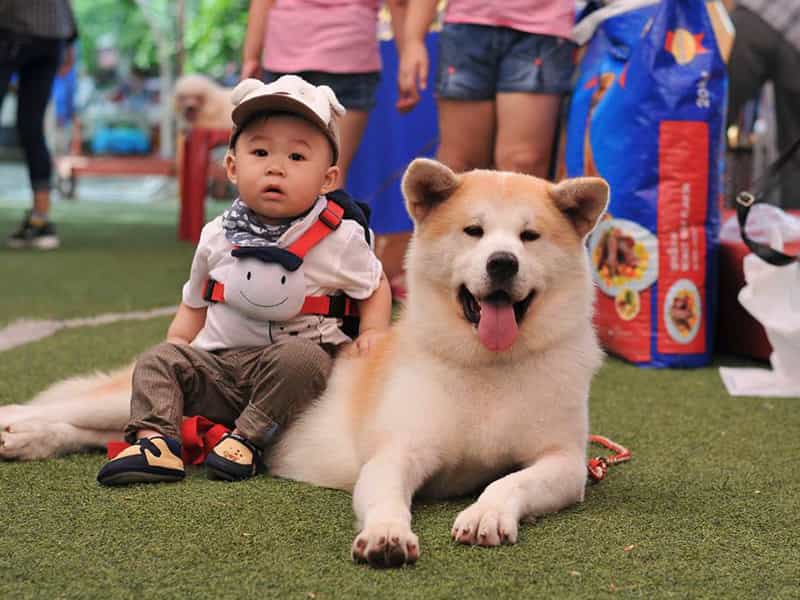 Thông tin về au88 Nhật