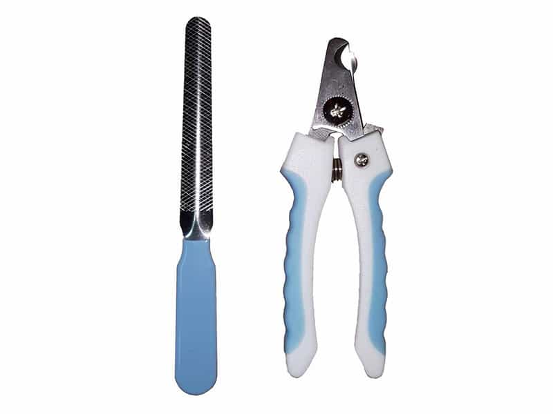 Các bước cắt móng cho chó