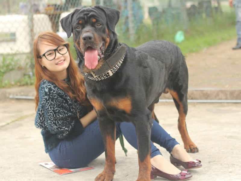 Tìm hiểu về au88 app dòng đại