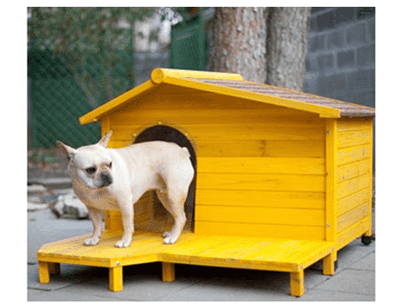 Các mẫu chuồng và nhà cho chó
