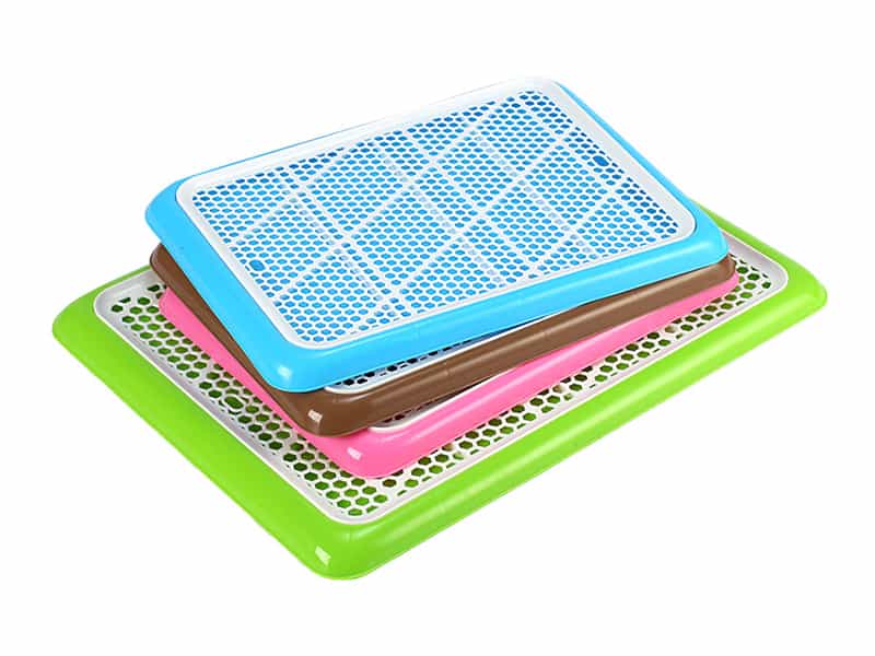 Vật dụng giúp chó đi vệ sinh