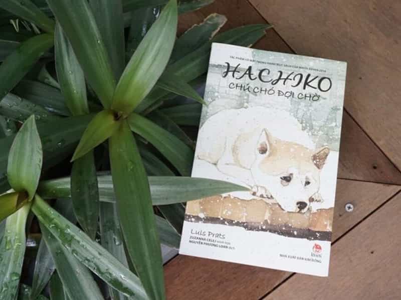 Câu chuyện về chú chó HachiKo