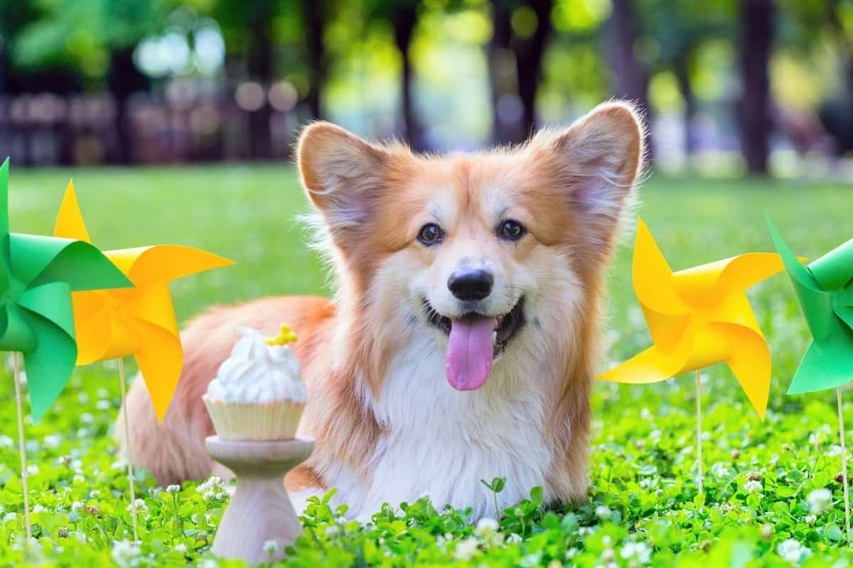 Thời điểm không nên tắm cho au88 app
