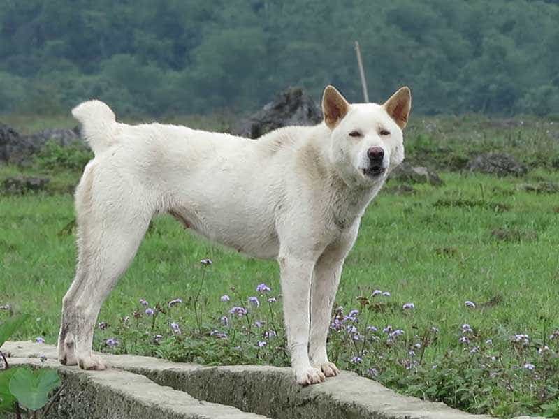 au88 app trang