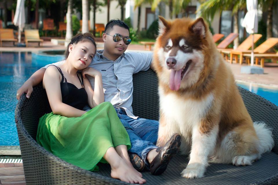 Chú chó au888 casino to nhất Việt Nam