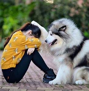 Trí thông minh vượt trội