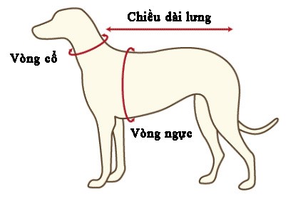 Hướng dẫn may đồ cho au888 casino