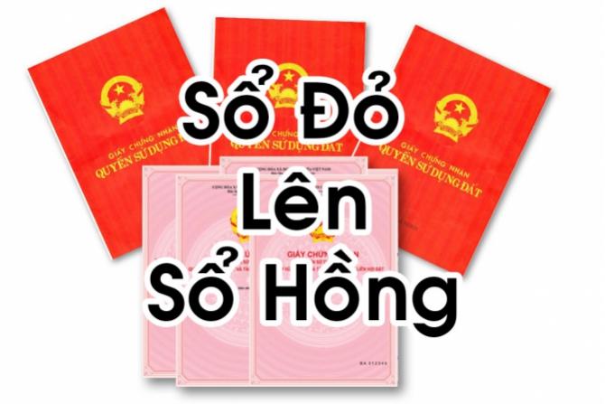 Chó bulldog Pháp đen trắng