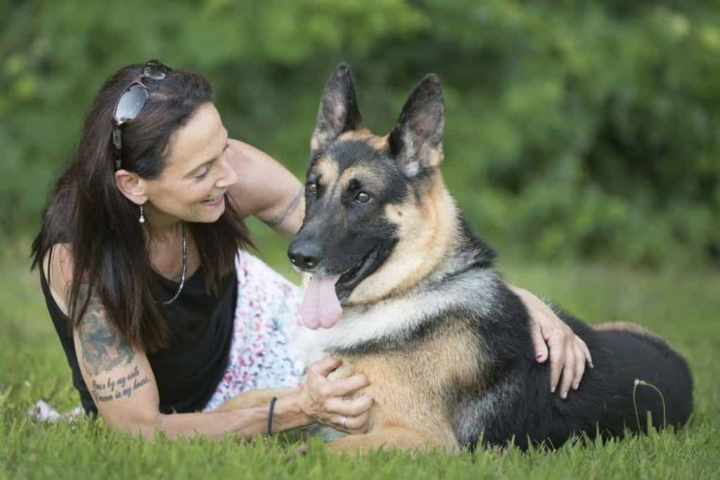 German Shepherd loài chó nghiệp vụ