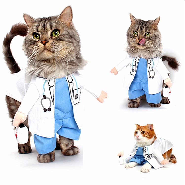 áo vest ngầu cho mèo quần áo chó mèo