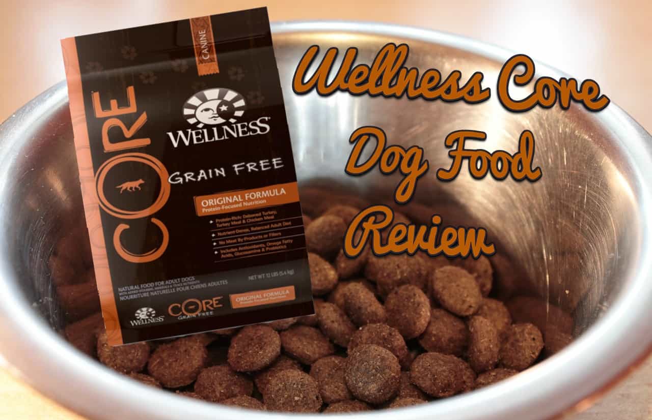Thức ăn Wellness Core cho doberman