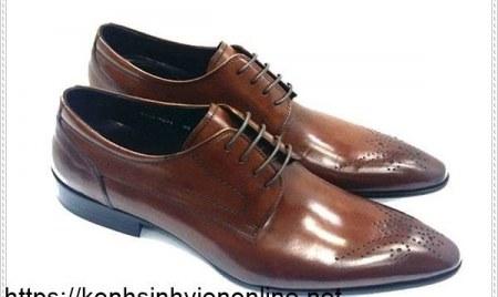 Chó au8801 chạy trên bờ biển