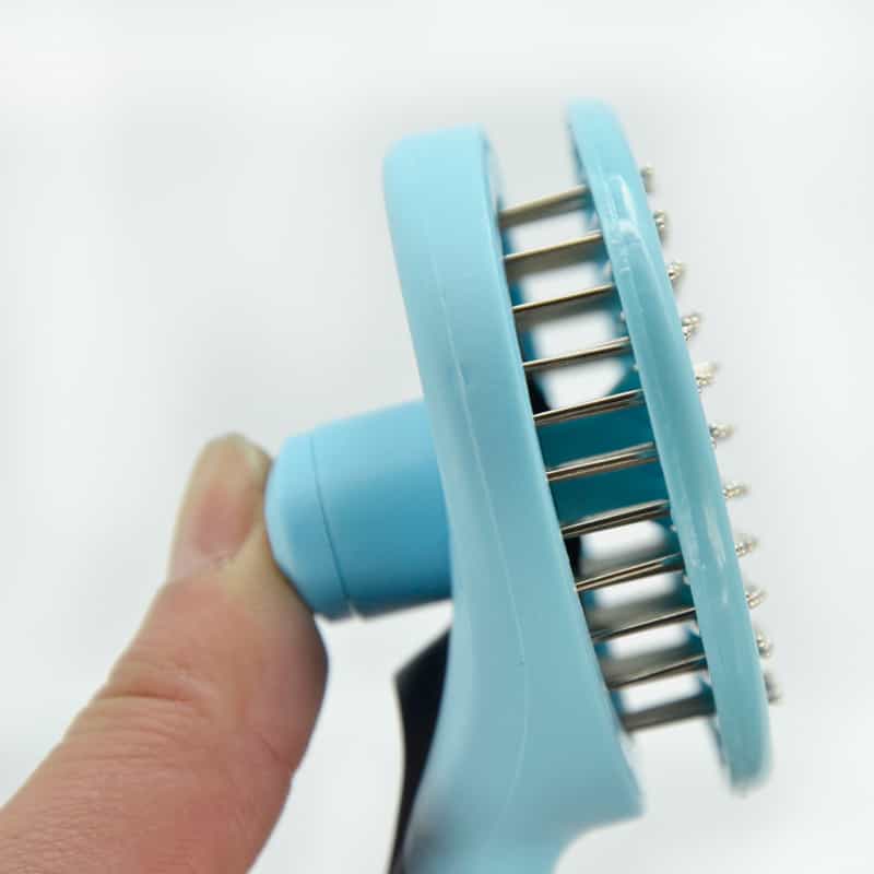 một chiếc bàn chải lông cho chó màu xanh