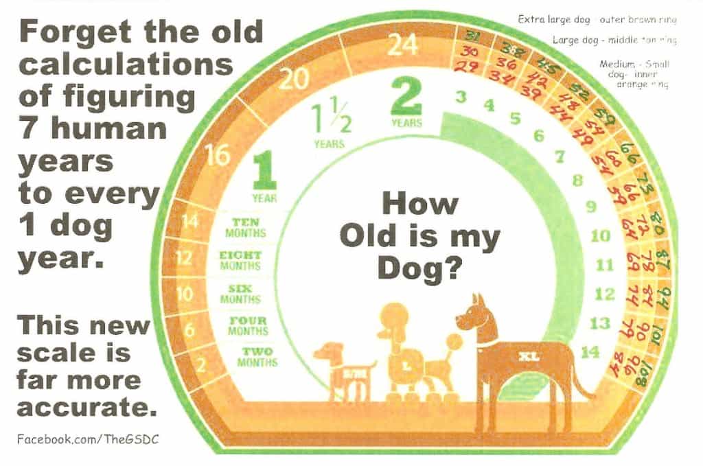  Sơ đồ The Blue Ridge Veterinary Services 2013