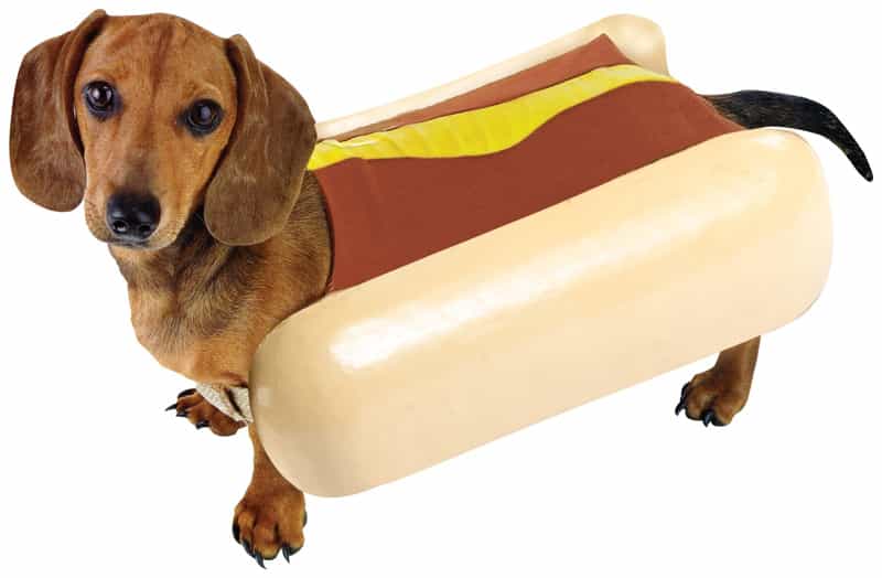 Nhìn tôi giống bánh mì à?
