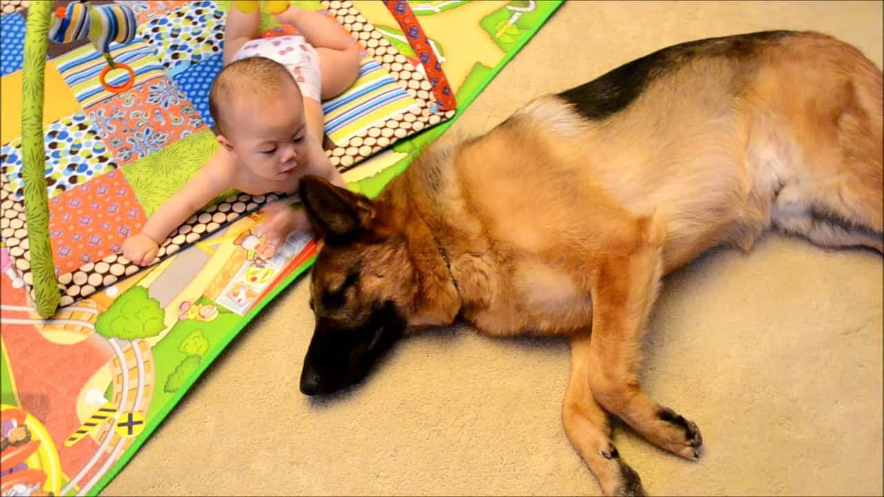 au88 khá thân thiện với trẻ em