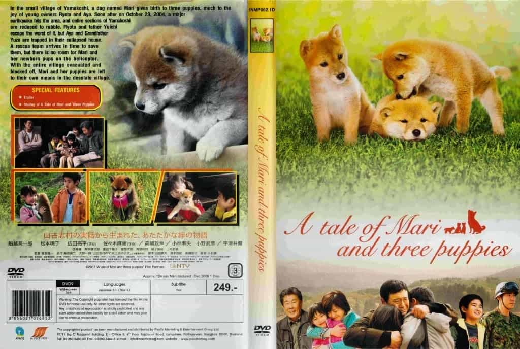 au88 là giống chó khôn (thông minh) và trung thành