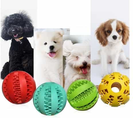 Đồ chơi bóng cao su cho chó gặm