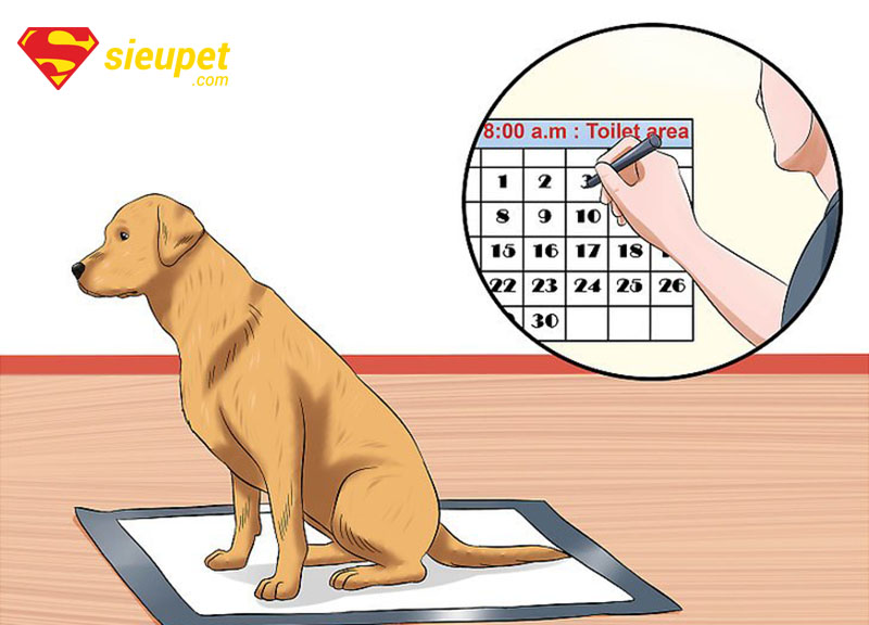Dụng cụ cần thiết cho Cách au88 Chó au88 Con