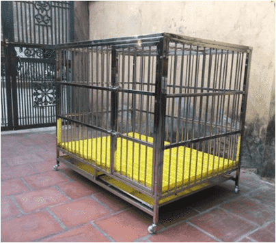 Chuồng inox cho chó 