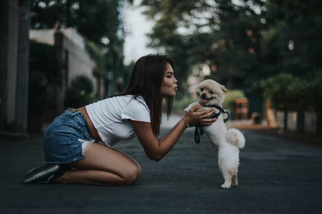 cần chú ý nhiều cách nuôi chó con