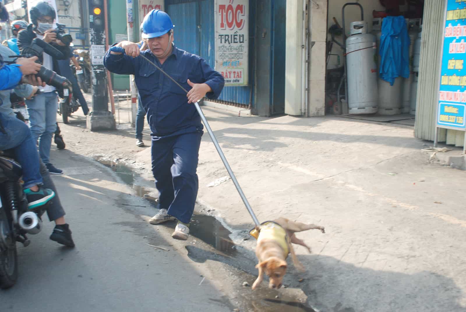 Huấn luyện chó không đuổi theo xe máy