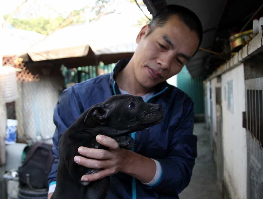 Chú chó được chủ bế