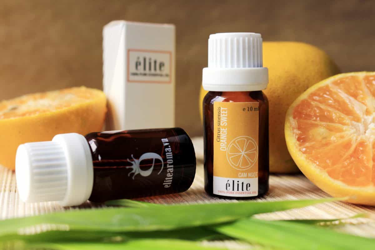 Chó sợ mùi của tinh dầu cam