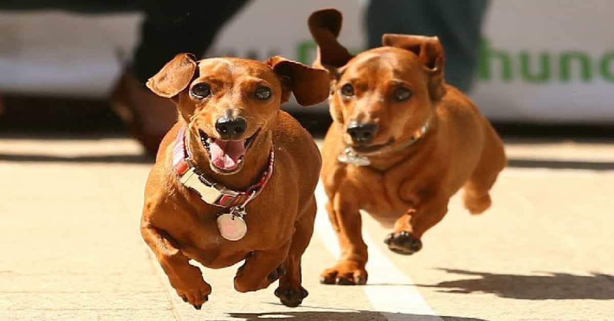 Tôi sẽ về nhất!