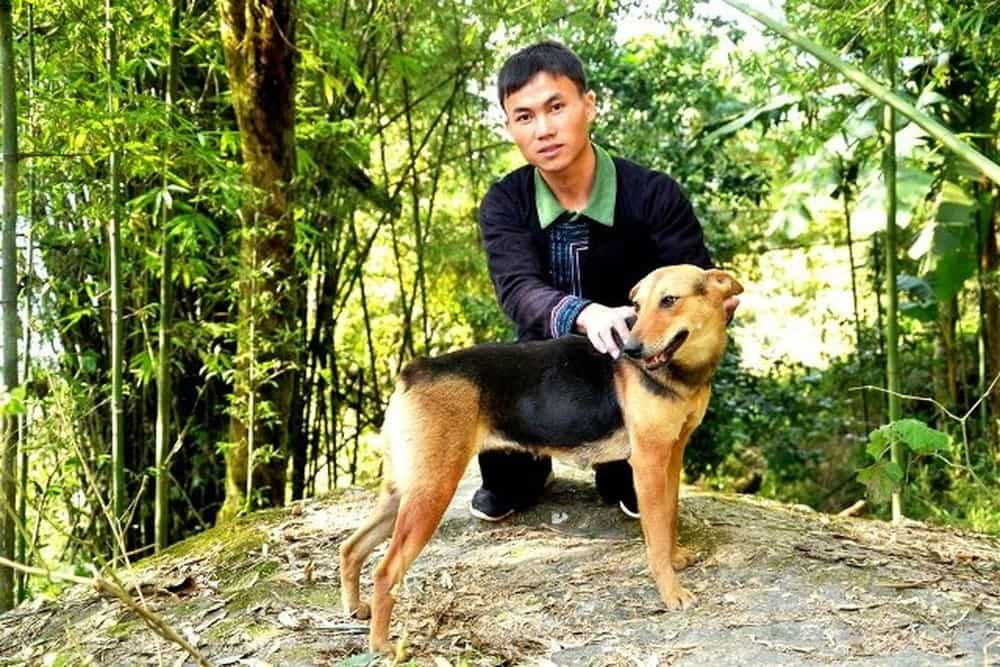 Giá chó mông cộc phụ thuộc vào yếu tố nào?