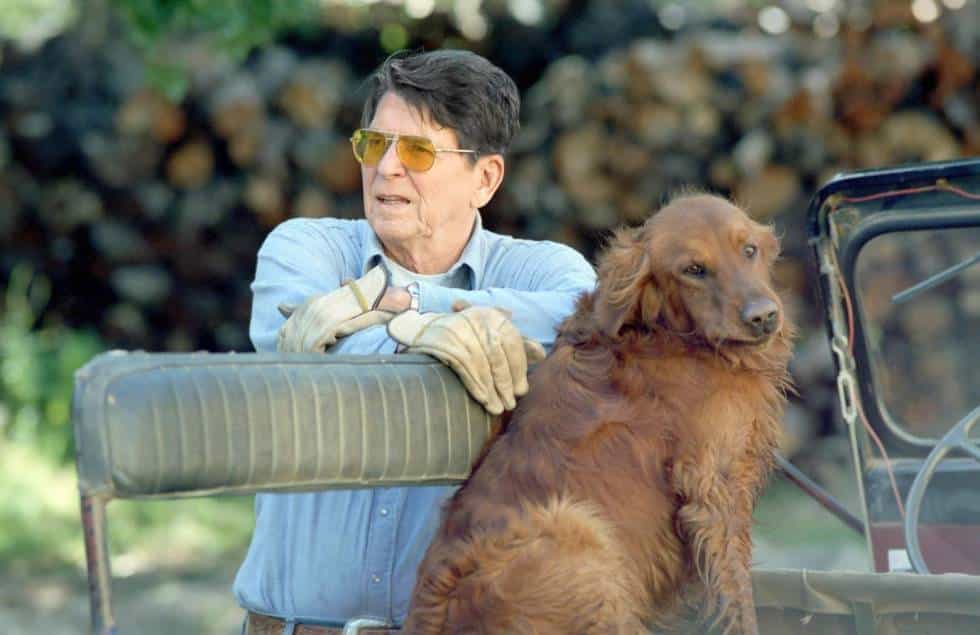 Chú Golden của tổng thống Mỹ Reagan