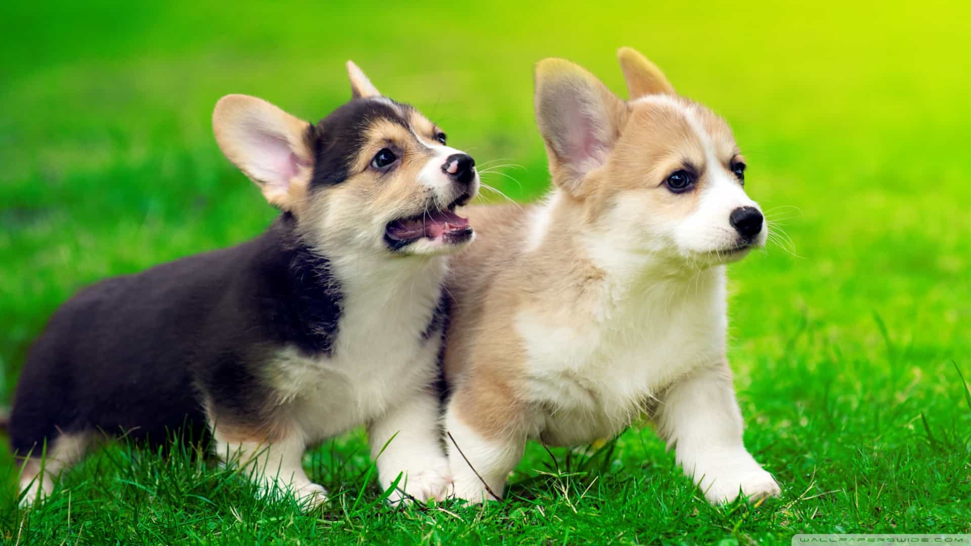 đón chào ngày mới