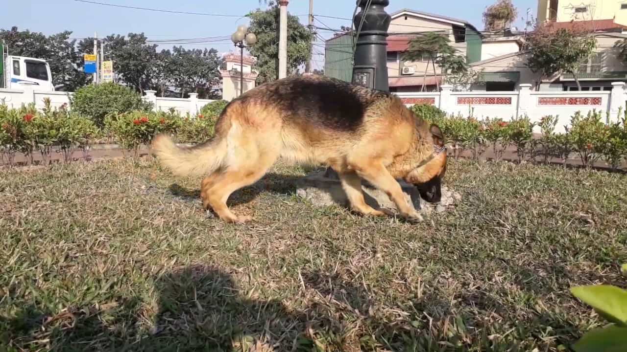 Bạn sẽ được au88 kĩ càng trước khi mua