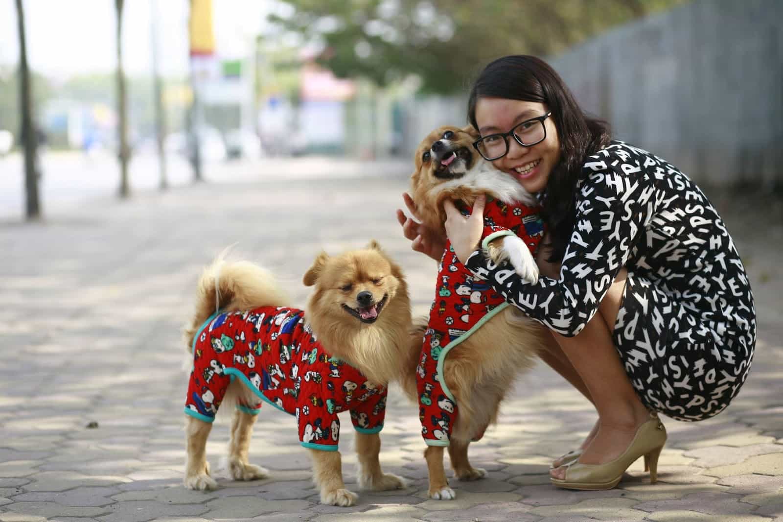 May áo cho chó tạo phong cách riêng