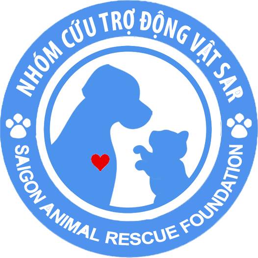 trạm cứu hộ chó mèo nhóm cứu trợ SAR