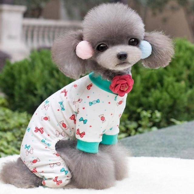 áo ngủ cute cho chó quần áo chó mèo