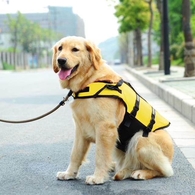áo phao màu vàng cho chó quần áo chó mèo