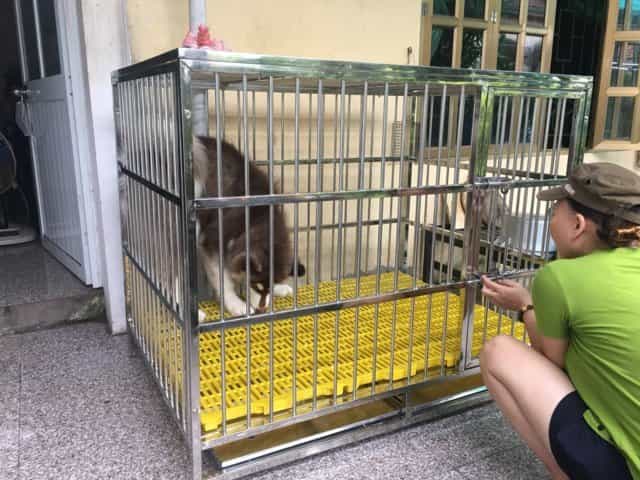 Cách sử dụng tấm lót sàn